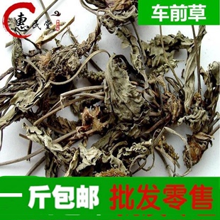 全草车前草 新品 干货 费农产品初加工 车前草 500g2斤 免邮