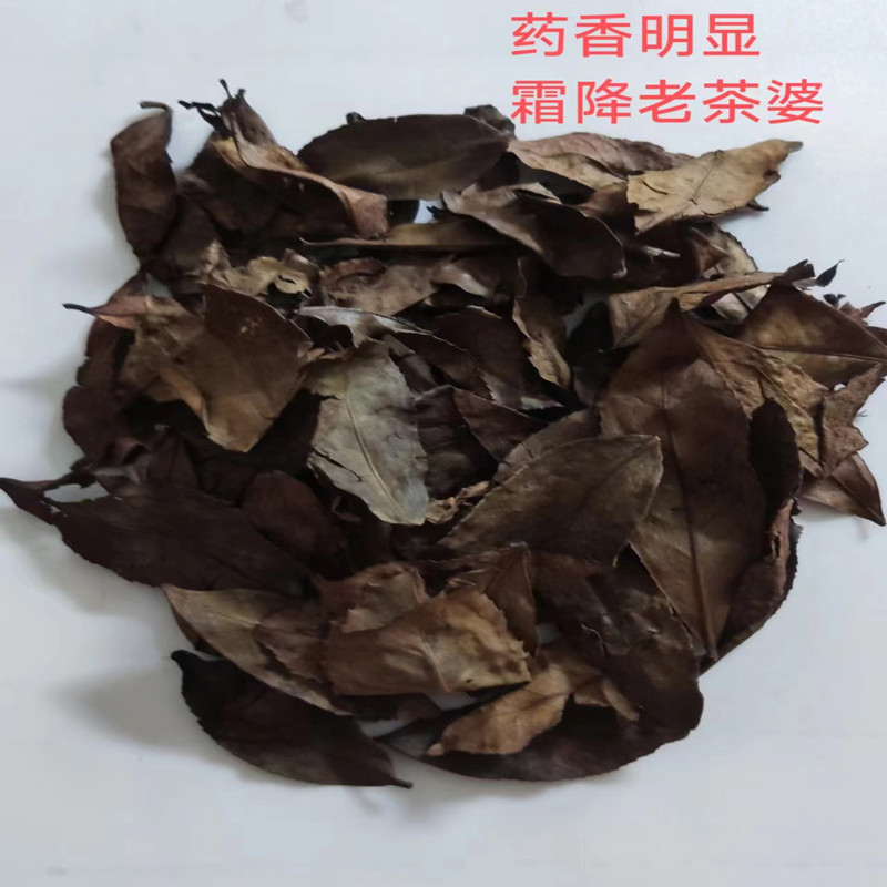 六堡老茶婆霜降茶2008年荒野药香广西梧州黑茶六堡粗茶500g冰糖甜