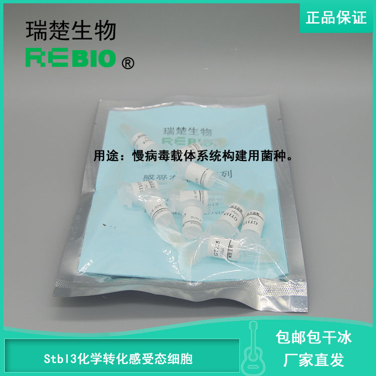 顺丰包邮包干冰Stbl3化学转化感受态细胞大肠杆菌10支20支50支