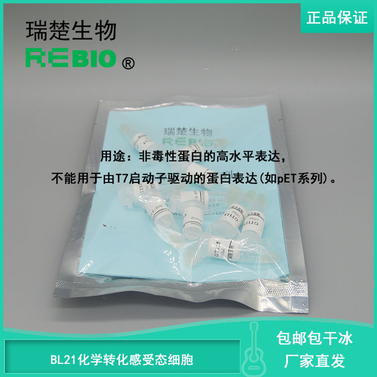 包邮 包干冰 BL21化学转化感受态细胞 大肠杆菌感受态细胞 R09203