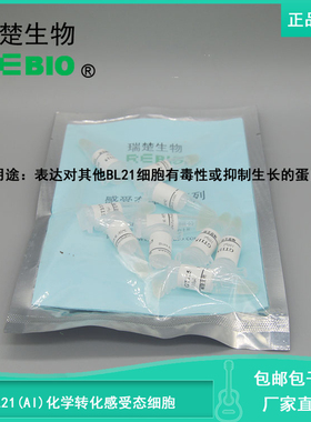 包邮 包干冰 BL21(AI)化学转化感受态细胞 大肠杆菌感受态 R09202