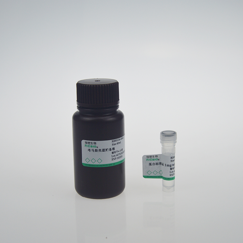 总蛋白（TP）测定试剂盒（带标准：考马斯亮蓝法）R200560