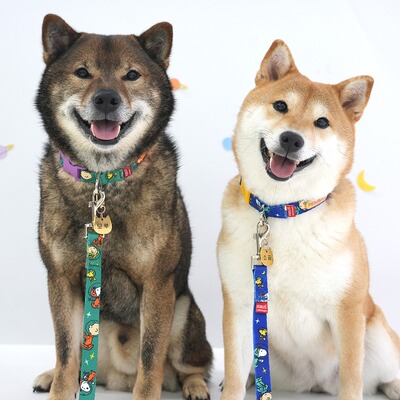 Parisdog宠物狗狗猫咪牵引绳