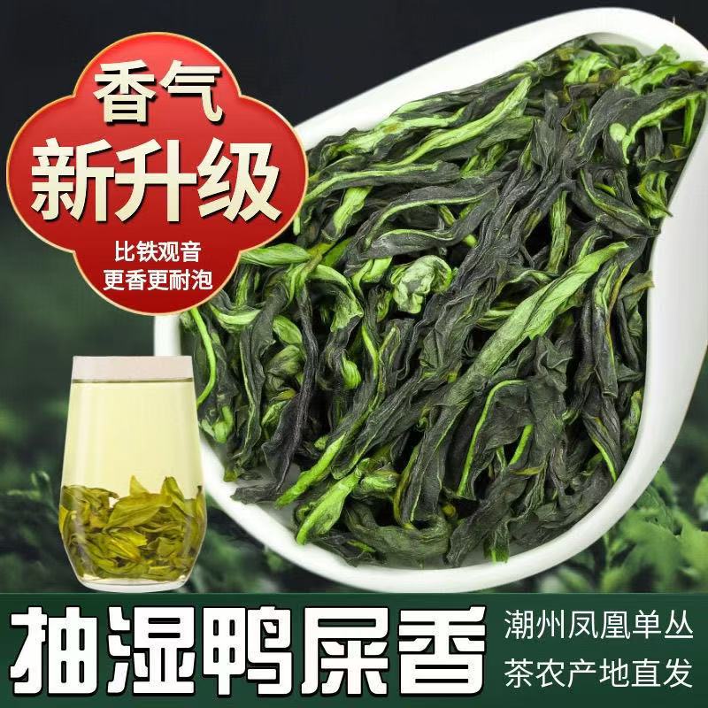 凤凰单枞抽湿鸭屎香大乌叶蜜兰香