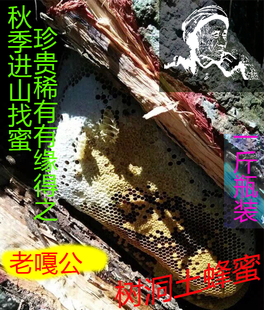 费农家土蜂蜜纯正天然深山树洞野生原始森林药花蜜PK新西兰蜜 免邮