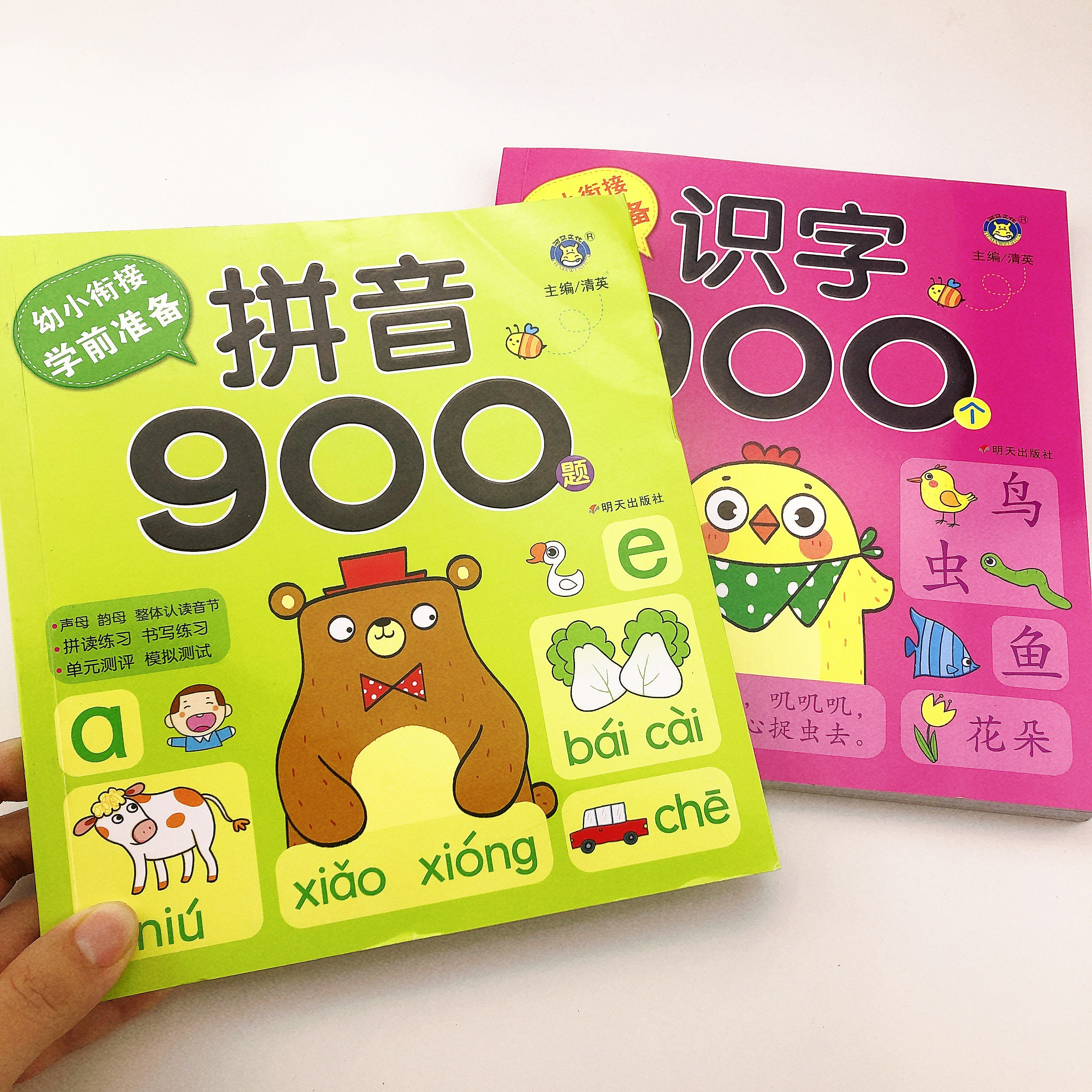 全套2本学前拼音识字900题教材书声母韵母整体认读音节看图识字书幼小衔接小学一年级学前班幼儿园大班拼音拼读练习题试题天天练