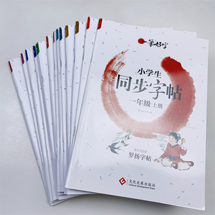 小学生练字帖同步字帖人教版语文一二三年级四年级五六七年级上册下册罗扬字帖每日一练一笔好字生字描红练字本字贴儿童楷书