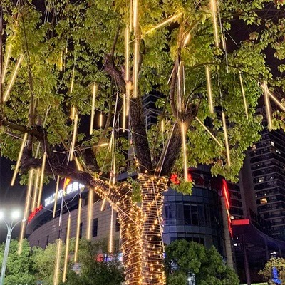 挂树led流星雨彩灯闪灯串灯满天星户外防水庭院室外亮化街道夜景