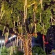 挂树led流星雨彩灯闪灯串灯满天星户外防水庭院室外亮化街道夜景