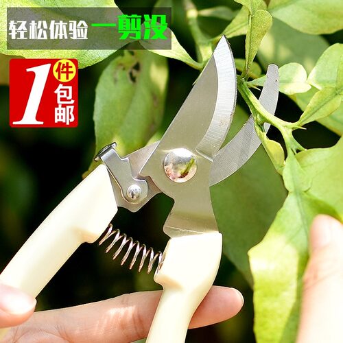 不锈钢树枝修枝剪采摘水果花木剪园林果树花卉枝嫁接园艺剪刀工具
