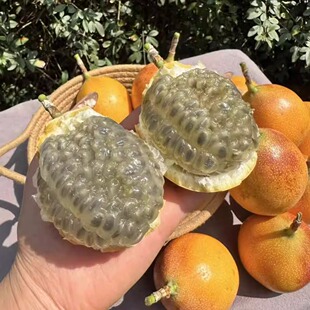 云南西双版 新鲜热带水果稀有特产现摘纯甜黄金百香果 纳热情果当季