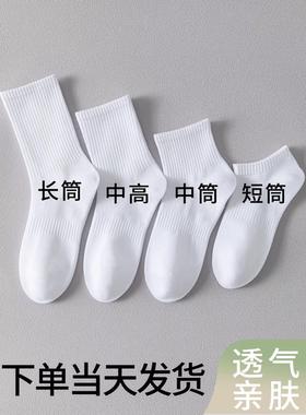 纯棉无骨黑白色纯色运动防臭袜中筒袜潮流百搭运动四季吸汗纯棉袜