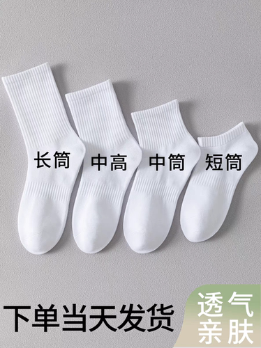 白色中筒纯棉四季运动袜男女百搭