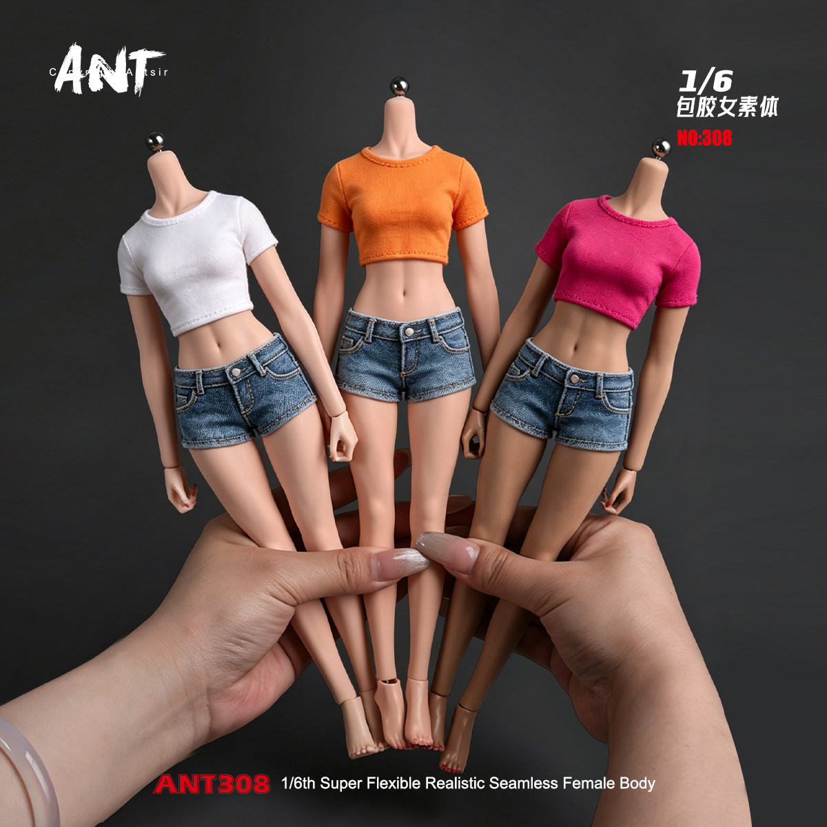 预售 ANT 1/6 T308 健美少女体 超可动女兵人素体 钢骨 包胶 人偶