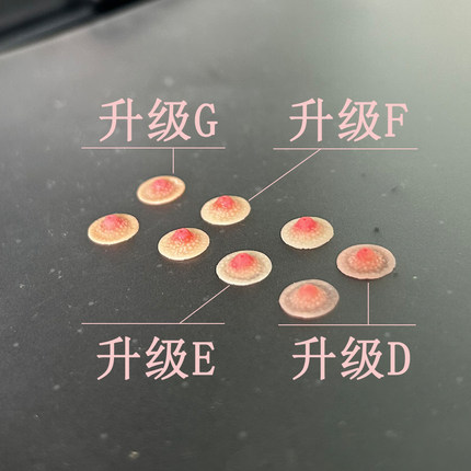 现货 1/4 1/6 1/12 女兵人 胸贴  替换件 自D 适合TBL岚ANT  素体