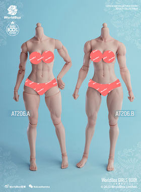 现货 WorldBox  1/6 女素体  AT206 肌肉版 关节可动人偶兵人模型