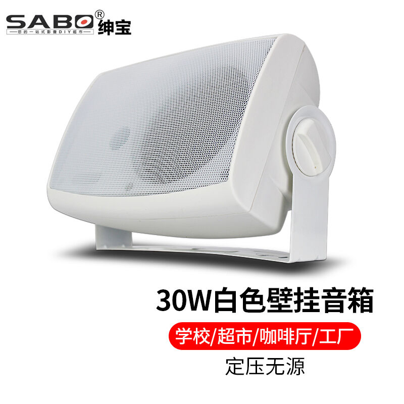 绅宝(sabo)壁挂音箱室内挂壁喇叭广播会议室咖啡厅超市店铺挂墙式