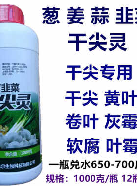 大蒜增产韭菜粗壮干尖灵