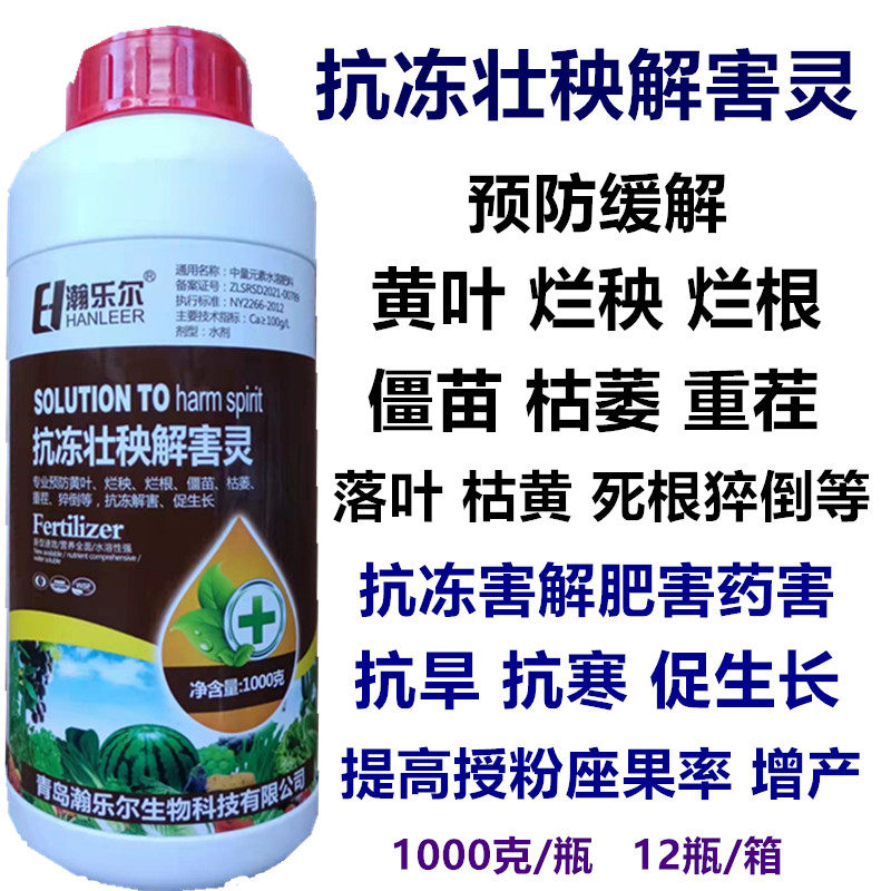 抗冻壮秧解害灵预防黄叶烂根烂秧僵苗枯黄萎抗冻害解药肥害促生长