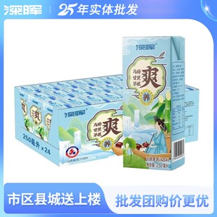 深晖马蹄茅根甘蔗汁250ml 果蔬汁植物饮料 24盒整箱装