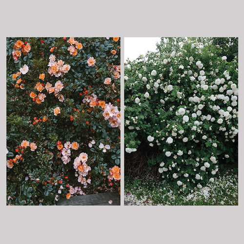 客厅玄关背胶自粘海报装饰画芯