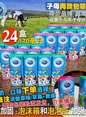 哒露奇越南DUTCHLADY子母奶170ml*24盒装 原味草莓甜牛奶进口儿童