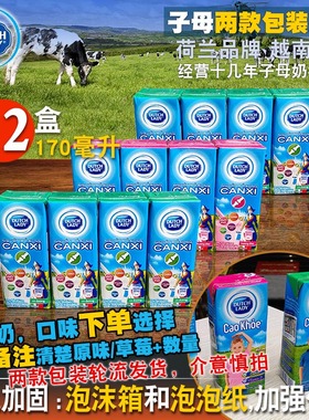 哒露奇越南dutchlady子母奶170毫升12盒草莓甜牛奶进口儿童钙原味