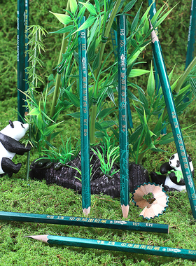 中华牌素描笔美术生用铅笔初学者绘画炭笔碳条hb4b6b8b10b14b绘图画笔碳笔软中硬2比2h2b 12比画画套装 101