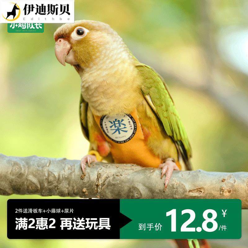 鹦鹉专用衣服尿不湿立体款固定肩带可调节大容量屎兜尿裤玄凤牡丹