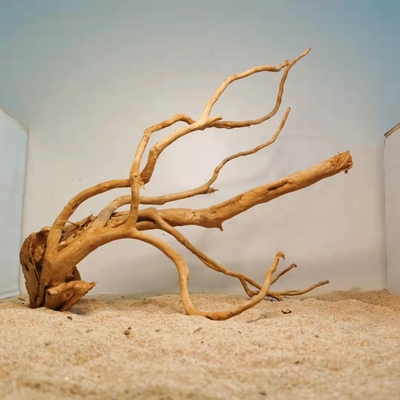 自然风化沉木枯木树根木雕杜鹃木插花微景观鱼缸造景木头摆件