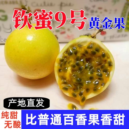 钦蜜9号黄金百香果福建漳州新鲜当季水果超甜5斤包邮现摘纯甜无酸