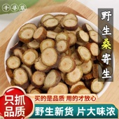 新货大片桑寄生梧州桑寄生粉 100g正品 野生桑寄生中药材500克 250