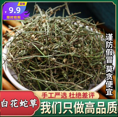 河南新货白花蛇舌草500g中药材