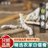 正品 白僵蚕中药材500g克僵蚕白僵蚕粉白僵虫天虫七子白非炒僵蚕干