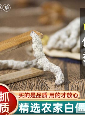 正品白僵蚕中药材500g克僵蚕白僵蚕粉白僵虫天虫七子白非炒僵蚕干