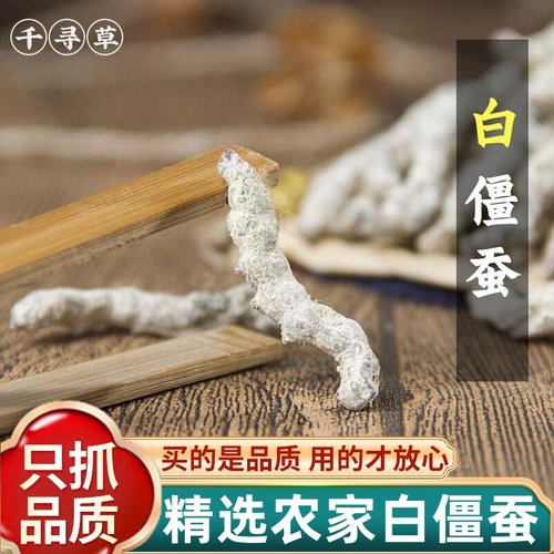 正品白僵蚕中药材500g克僵蚕白僵蚕粉白僵虫天虫七子白非炒僵蚕干