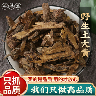 中药材野生土大黄500g克 精选新货土大黄 羊蹄根 洋铁叶 马蹄大黄