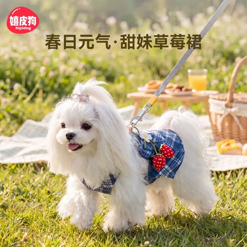 宠物衣服春夏季牛仔复古草莓吊带裙子约克夏比熊可牵引小狗狗服装