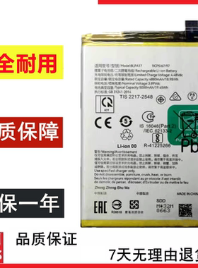 适用于真我realme C53 真我C53 NFC RMX3760手机电池BLPA17