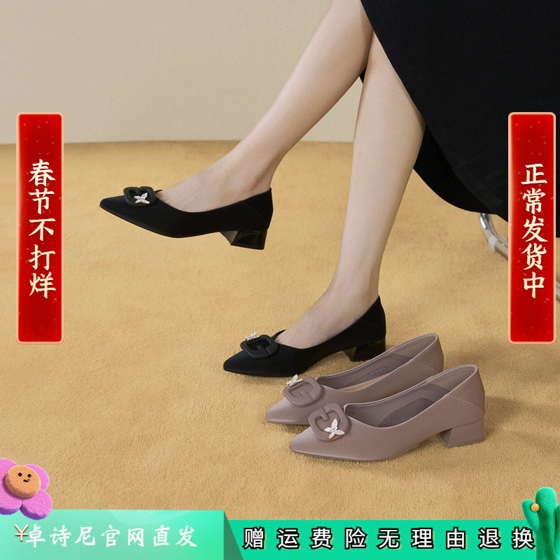 卓诗尼2025秋冬季新款厚底女鞋高跟鞋单鞋尖头粗跟高跟鞋低跟浅口