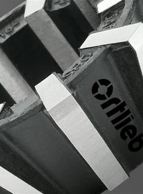 德国 夹头 036.8063/000173-10.0 ORTLIEB夹具