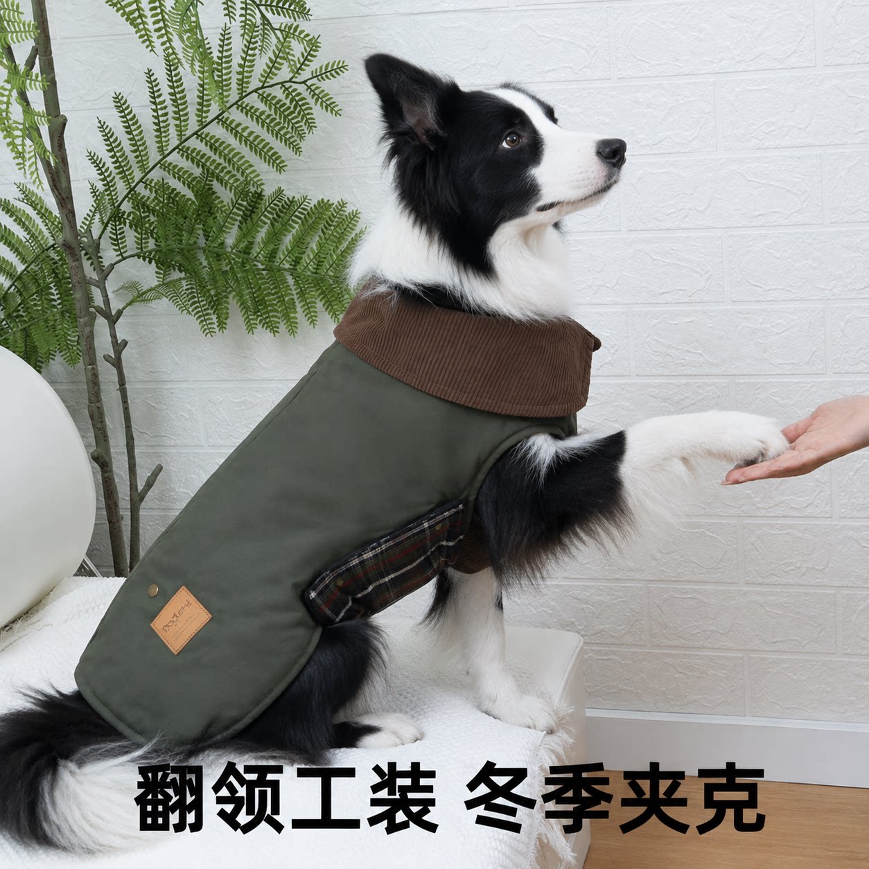 边牧冬季工装翻领夹克夹棉保暖金毛拉布拉多柯基哈士奇德牧秋田