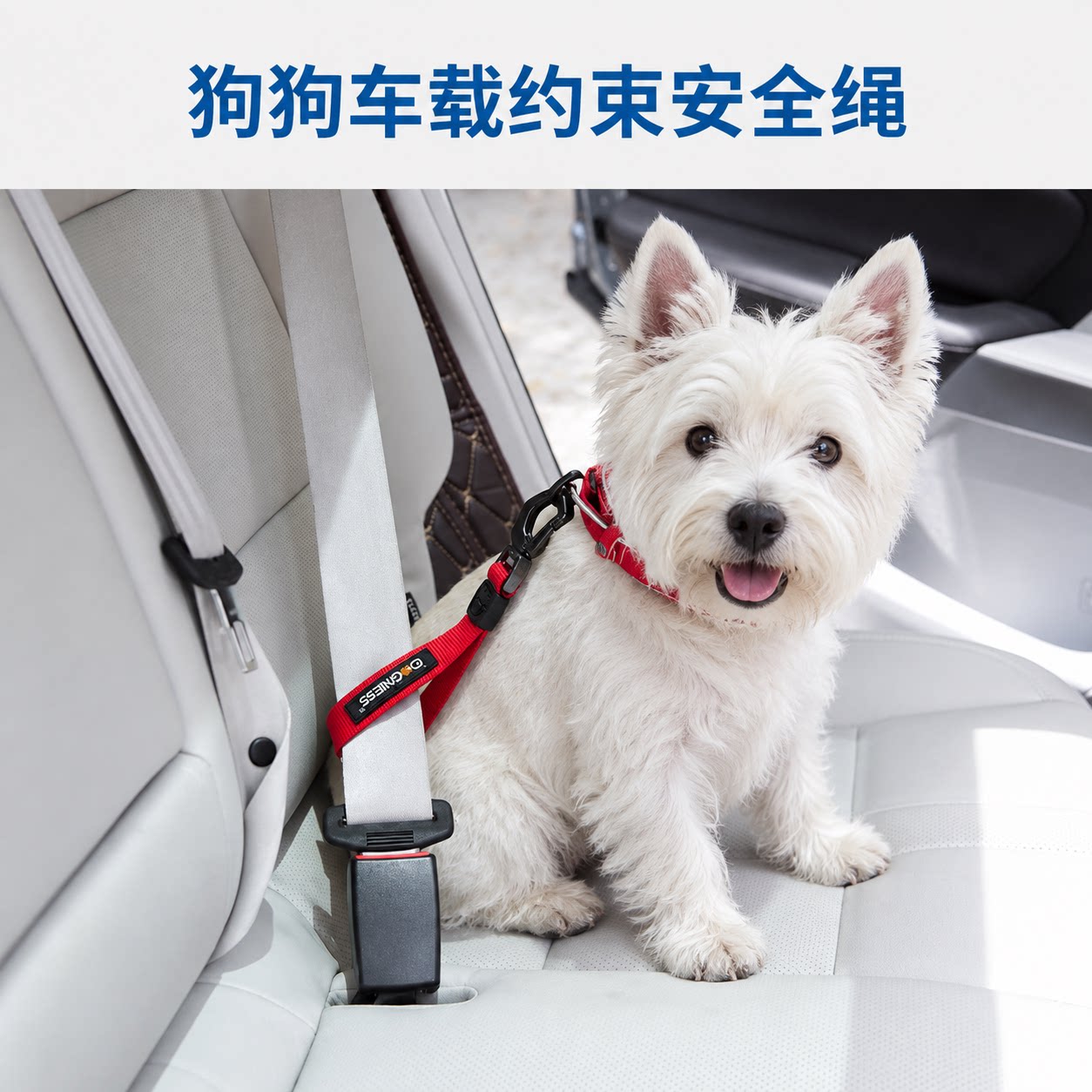 狗狗车载安全扣可调节固定约束带插扣耐用抗拉西高地金毛比熊边牧