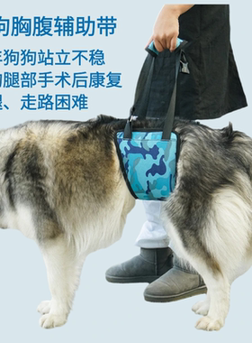 狗狗腹胸辅助带韧带受伤站立不稳