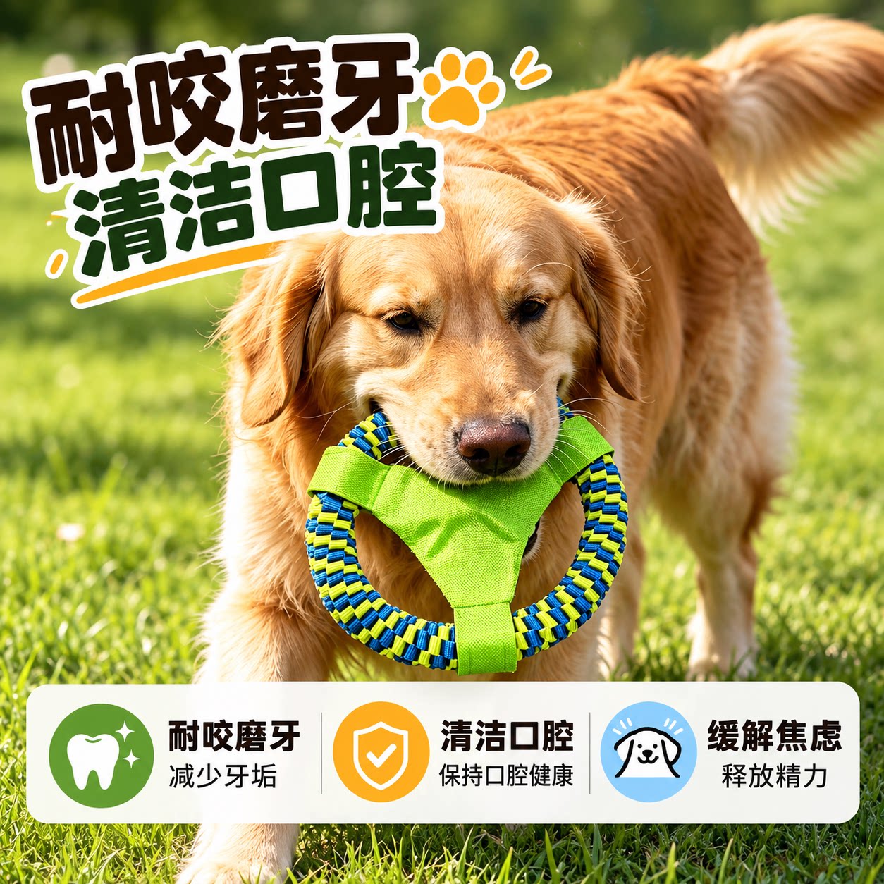 大狗圆盘拔河发声磨牙耐咬金毛德牧拉布拉多阿拉斯加边牧秋田