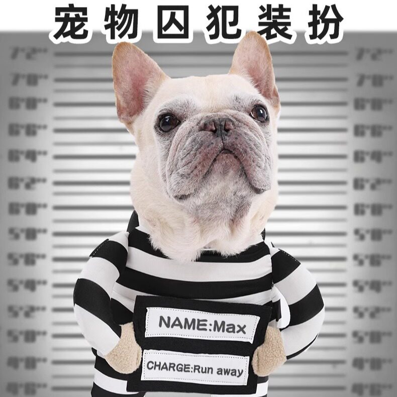万圣节狗狗囚犯两脚衣变身装搞怪拍照法斗金毛拉布拉多2507