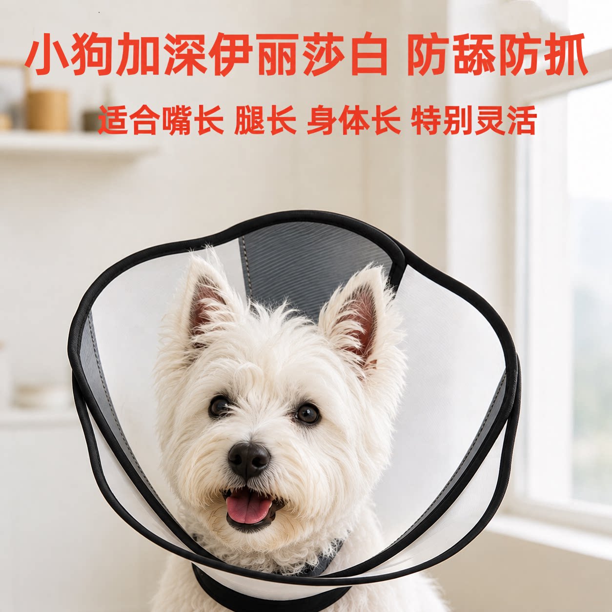 西高地加深伊丽莎白圈防抓防舔加宽比熊雪纳瑞泰迪博美腊肠0817