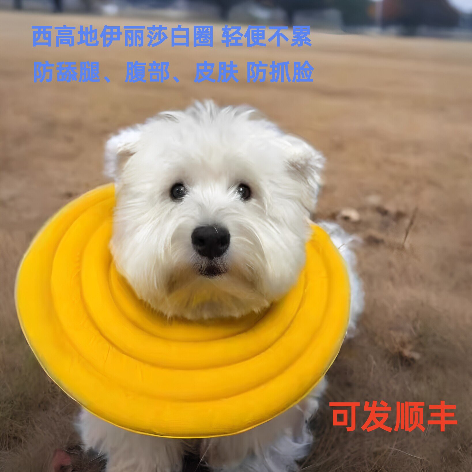西高地专用伊丽莎白圈轻软脖圈防舔防咬绝育恢复比熊柯基金毛柴犬