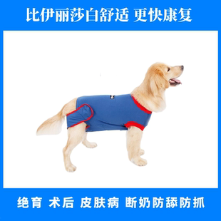 中型犬术后公母狗绝育服手术衣防舔断奶皮肤伤口护理金毛边牧柯基