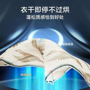 小.天鹅家用全自动洗衣机10kg大容量除菌滚筒洗烘一体 TD100V618T